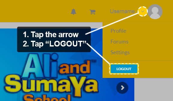 logout
