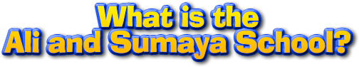 what-is-the-ali-and-sumaya-school_